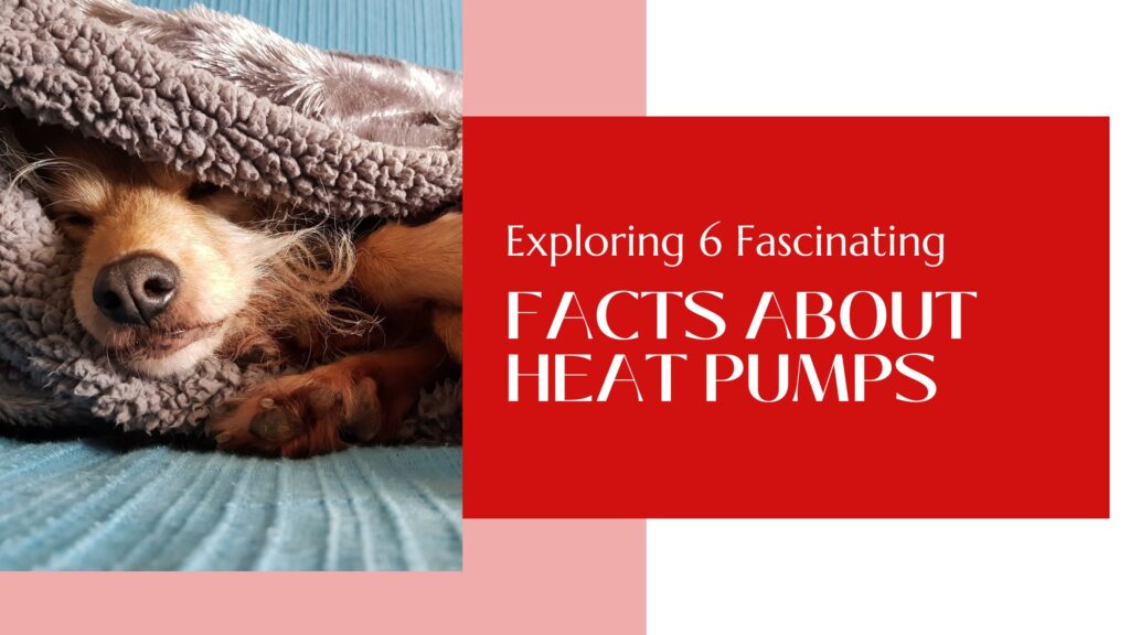 Exploring 6 Fascinating Facts About Heat Pumps